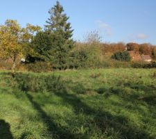 Photo du terrain prise juste avant de commencer &agrave; couper les arbres, haies et autres buissons.