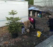 Plantation de notre premier arbre!