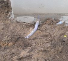 Branchement ventilation de la fosse