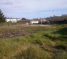 Terrain vue de l'ensemble le fond du terrain vers l'avant