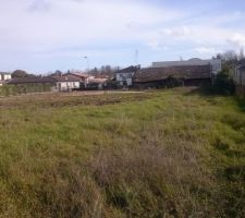 Vue de l'ensemble du terrain avec diff&eacute;rentes parcelles