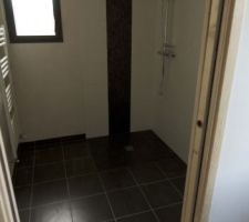 Salle de bain du bas. La colonne de douche à été un surplus. Celle de base ne comportant qu'un pommeau.