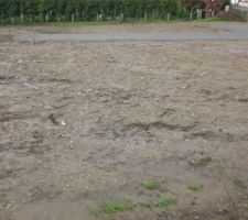 Vue de c&ocirc;t&eacute; du terrain