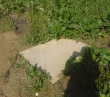 Plaque vide santaire mis a l'arrache alors que le terrassement était fini