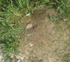 Une montagne de betton cach&eacute;