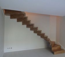 Futur escalier treppenmeister modèle Linéa 2/4 tournant