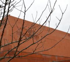 Elevation &eacute;tage