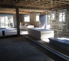 Début de la pose des rails au plafond et arrivage de la laine de roche   du placo.