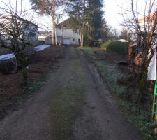 Arbres d&eacute;racin&eacute;s, pr&eacute;paration du terrain