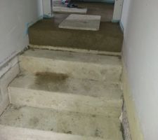 Carrelage gama musgo de chez ID carrelage