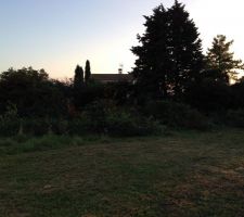 Nettoyage du terrain