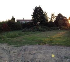 Nettoyage du terrain