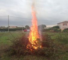 Nettoyage du terrain