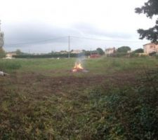 Nettoyage du terrain