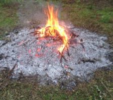 Nettoyage du terrain