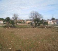 Voici une photo du terrain avant abatage de quelques arbres