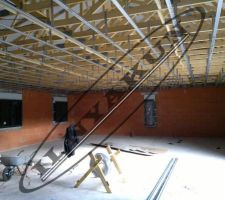 Fourrures plafond