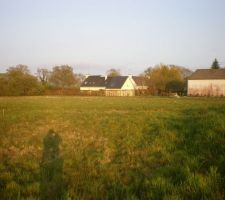 Terrain avant viabilisation