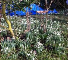 Le printemps est là