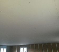 C\'est parti pour les plaquistes