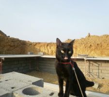 Petit clin d'oeil &agrave; notre chef de chantier