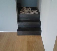 Pose des premières marches de l'escalier (la magnifique serviette berger allemand ne va pas rester)