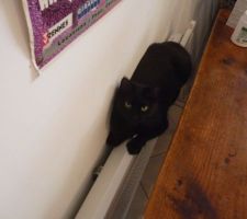 T\'as chaud ma mimi!