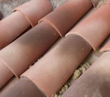 Ça fait 3 mois que je demande à ce que le ménage soit fait, et les morceaux d'enduit collés aux tuiles nettoyés également.