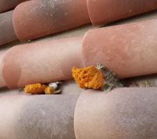 Ça fait 3 mois que je demande à ce que le ménage soit fait, et les morceaux d'enduit collés aux tuiles nettoyés également.