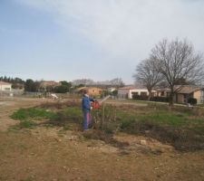 Abatage des arbres,merci Alain