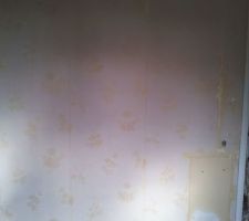 La deuxième couche de tapisserie trop dure à enlever