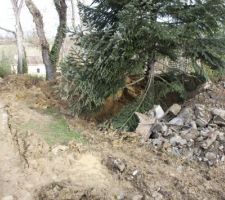 Notre beau sapin va perdre quelques rangée de branches