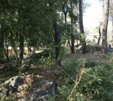 Petit exemple des multiples rochers et des arbres &agrave; enlever!