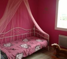 La chambre de mes 2 princesses il faut encore qu'on s'occupe des stickers muraux et du ciel de lit de ma petite derniere