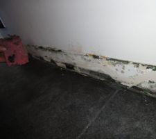 Apres le degats des eaux, arrachage des plinthes (qui n\'avaient, a 1ere vue, pas trop morflees car a peine en contact avec l\'eau). De la moisissure...Donc retrait de toutes les plinthes, nettoyage et sechage pendant qques semaines...On reposera le meme type de plinthe malgre tout car on n\'aime ni les plinthes carrelage, ni alu...