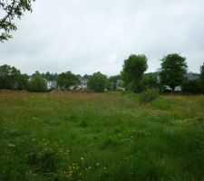 Ce n'est pas encore vraiment un lotissement...