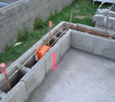 D&eacute;tail des acrot&egrave;res   future naissance EP