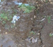 Cuve de récupération d\'eau visible   tuyau