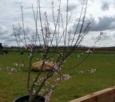 Ça sent le printemps ! :-D