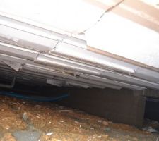 Une autre vue sur des ourdis cass&eacute;s...