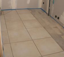 Le cellier commence...