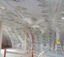 La membrane avant le scotch