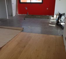 Séjour vers cuisine : jonction parquet - carrelage semi-poli.
Le fond est un Pantone Tangerine Tango qui devrait accueillir le plan de travail de la cuisine.