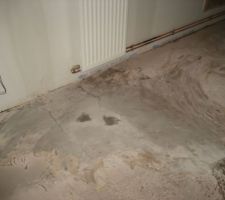 04/03/14-Probl&egrave;me de ragr&eacute;age car certaines parties du plancher sont humides