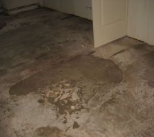 04/03/14-Probl&egrave;me de ragr&eacute;age car certaines parties du plancher sont humides