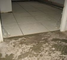 04/03/14-Vu d&eacute;gagement &eacute;tage et salle de bain