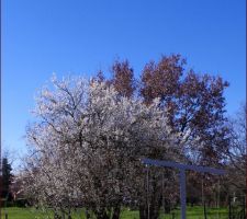 La nature se réveille