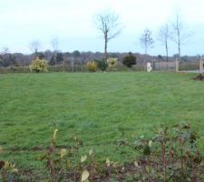 Vue d'ensemble du terrain