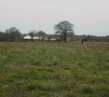 Viabilisation Mi Fev &agrave; Fin Mai