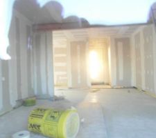 Cuisine et s&eacute;jour avec &eacute;chelle menant &agrave; l'&eacute;tage combles amnag&eacute;es